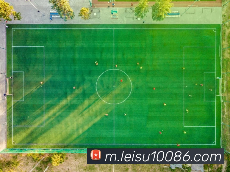 雷速体育品牌故事